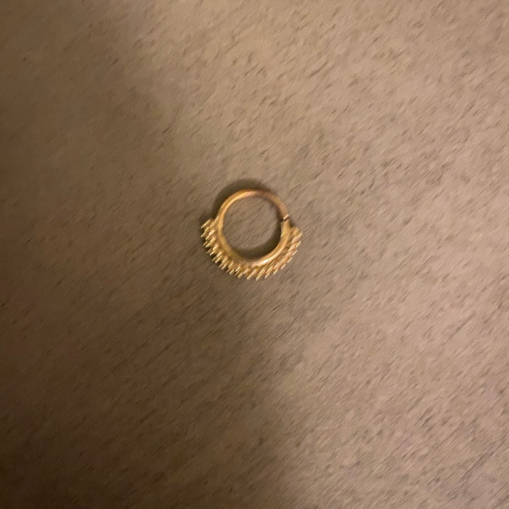 BVLA 14K Daith